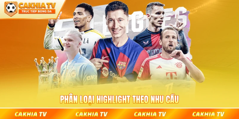 Phân loại highlight theo nhu cầu