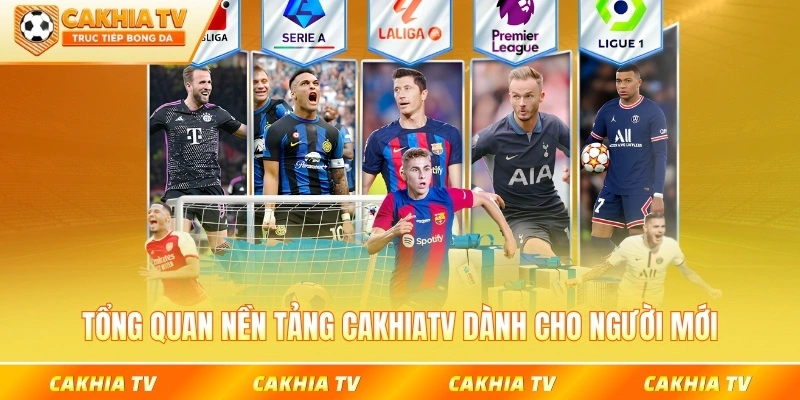 Tổng quan nền tảng CakhiaTV dành cho người mới